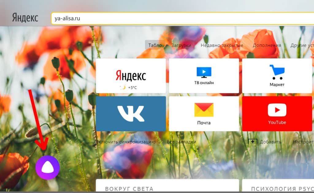 Как отключить алису в яндекс браузере на компьютере