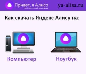 Как установить алису на компьютер