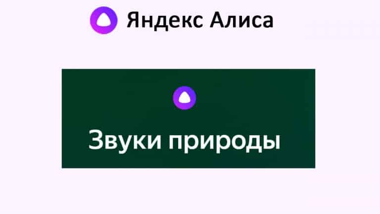 Какие звуки природы есть в яндекс станции