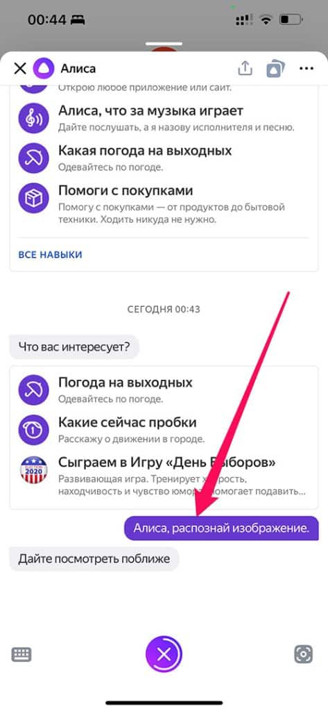 Алиса распознавание по картинке