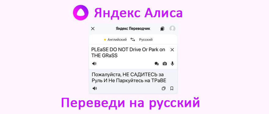 Алиса переведи фото на русский